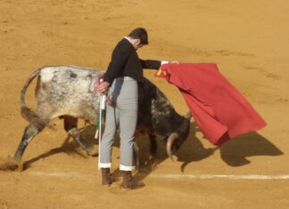 El antequerano Pérez Fernández es aplaudido en la tercera del Encuentro Andaluz de Escuelas en Utrera