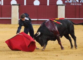 Curro Márquez entra en la Feria del Arroz de Calasparra por la vía de la sustitución