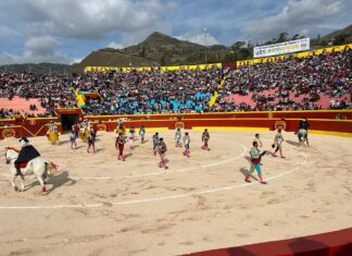 Interrumpido debut de Juan Carlos Benítez en Perú