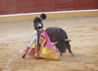 Meritoria oreja para Fortes con un complicado lote en Madridejos