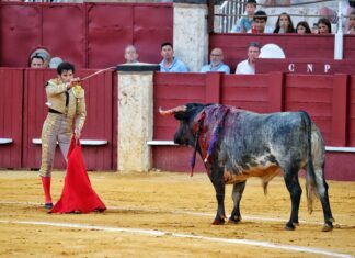 UTAMA concede el Premio Paco Madrid a la Mejor Estocada de la Feria de Málaga 2023 a José Garrido