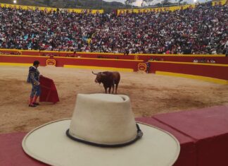 Benítez regresa de Perú de vacío por el mal uso de los aceros