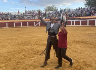 Ferrer Martín corta dos orejas a uno de Torrealta en Torrenueva
