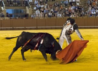 El marbellí Alejandro Cano anuncia su debut con picadores en Mejorada del Campo