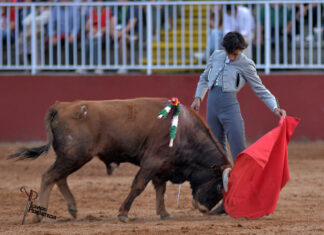 El fuengiroleño Miguel Rayo corta dos orejas en el Certamen de la Escuela de Salamanca