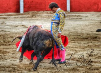 Tres y rabo para Candelas en una importante tarde en Sonseca