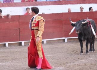 Pablo Páez se niega a matar un novillo en Sotillo de la Adrada alegando que no veía