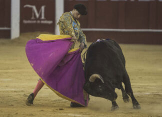 El temporal se lleva por delante la novillada de Francisco Morales en Recas (Toledo)