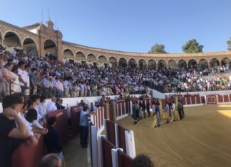 El Circuito Provincial de Escuelas concluye una gran primera edición en Antequera