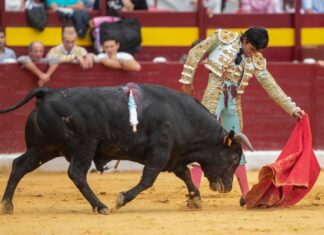 Julio Alguiar es anunciado con matadores en una Goyesca peruana