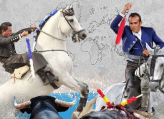 Ferrer Martín regresa a México para reeditar sus triunfos de 2021