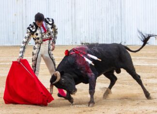 Fortes se convierte en rotundo triunfador de la Feria de Xmatkuil con su segunda Puerta Grande consecutiva