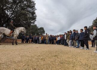 Diputación invita a escolares a conocer la cría del toro bravo y el caballo Pura Raza Español