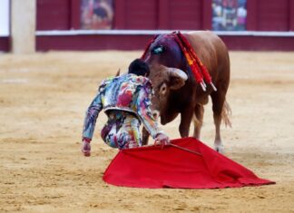 Las fechas para la venta de entradas para la Picassiana