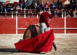 Así fue la participación del rondeño Rubén Alcázar en el Bolsín de Candeleda (Galería)
