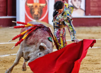 Tauromaquia, pintura y música. Tres artes que se fusionarán en la Corrida Picassiana