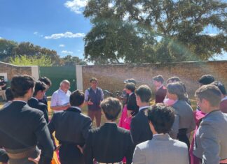 Las escuelas de la provincia de Málaga contarán con cinco representantes en el Ciclo Andaluz