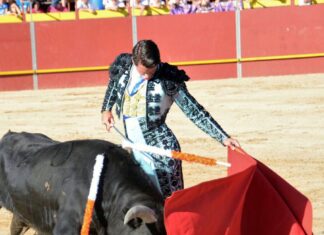 Alejandro Cano ya tiene fecha para comenzar su primera temporada con picadores