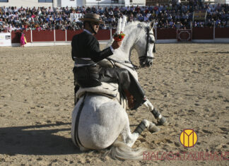 La I Corrida de Rejones de Benamocarra, en imágenes