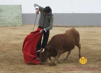 Curro Díaz se siente en la ganadería de Manuel Blázquez