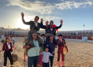 Buena dimensión de Ferrer Martín, Aguacate de Oro en Benamocarra