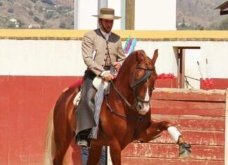 Mancebo se despide del Certamen Promesas del Rejoneo dando una vuelta al ruedo en Ossa de Montiel