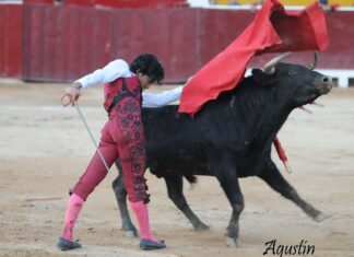 Julio Alguiar se lleva la única oreja de la tarde en Cutervo… y múltiples contusiones