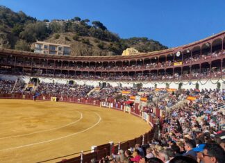 Los carteles de la Feria de Málaga 2024 verán la luz en unos días