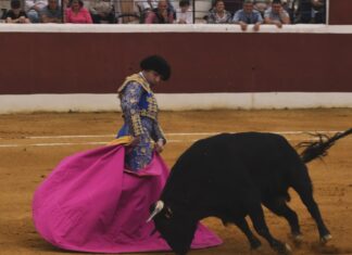 Suspendida la novillada de El Tiemblo en la que se anunciaba a Curro Márquez