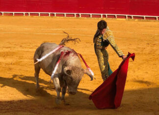 Lodosa se vuelve a poner en el camino de Javier Orozco