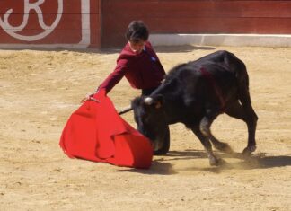 Ignacio Candelas está listo para su debut con picadores de este domingo