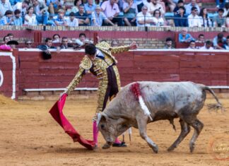 Ovación tras petición a José María Rosado en el inicio de La Merced de Huelva