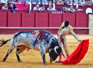 Una Biznaga para el novillero Simón Andreu