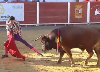 Saludos a El Gali en la novillada de Navas de San Juan