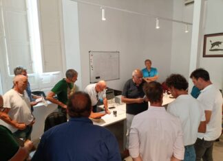 Orden de lidia y cuadrillas para la novillada inaugural de la Feria de Málaga 2024