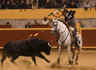 La completa agenda de Ferrer Martín para la segunda quincena de agosto