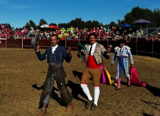 Ferrer Martín da una vuelta al ruedo en Alfaro