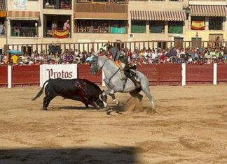 Ferrer Martín llega a Málaga tras cortar dos orejas en Peñafiel