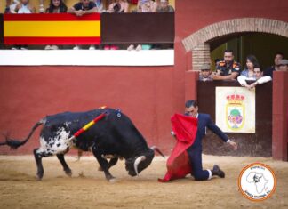 Máximos trofeos para Octavio Chavón y Alejandro Duarte en Cortes de la Frontera