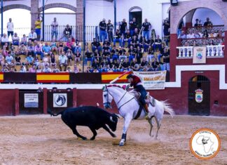 Triunfal festejo de rejones en Cortes de la Frontera