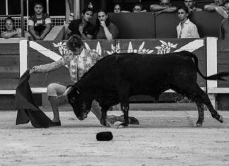 Léo Pallatier llega a la final del Bolsín de Nimes Metropole