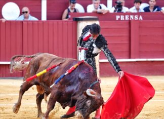 El triunfo de Fortes sigue teniendo su eco con la concesión de su cuarto Estoque de Plata de la Diputación de Málaga