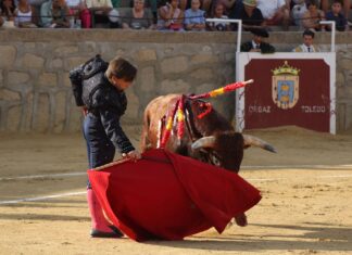 Silencio a Curro Márquez en una novillada en Aldea en Cabo pasada por agua.