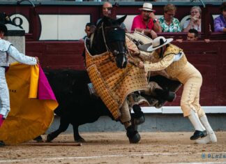 La defensa del picador Adrián Navarrete a su caballo en Las Ventas