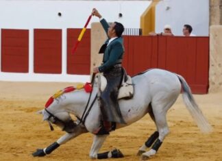 Maratón de Ferrer Martín durante todo el mes de septiembre