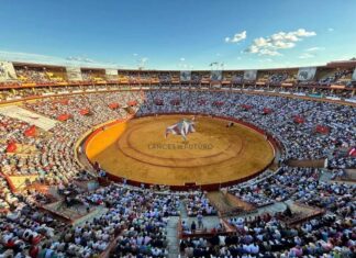 Lances de Futuro seguirá gestionando la plaza de Córdoba por seis temporadas