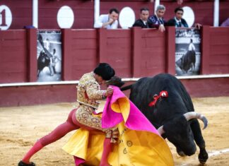 El I Trofeo Trocadero al Mejor Quite Artístico de la Feria de Málaga ya tiene ganador