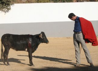 Fortes «siendo uno mismo en cualquier parte»