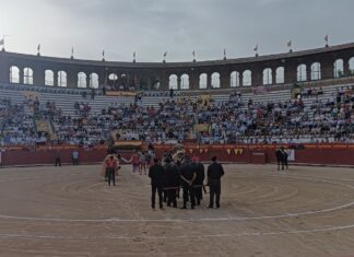 Se consolida el proyecto ganadero de La Condesa con la ovación a sus primeros novillos lidiados en público
