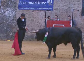 Temple y compás de Fortes para volver a triunfar en Segura de la Sierra